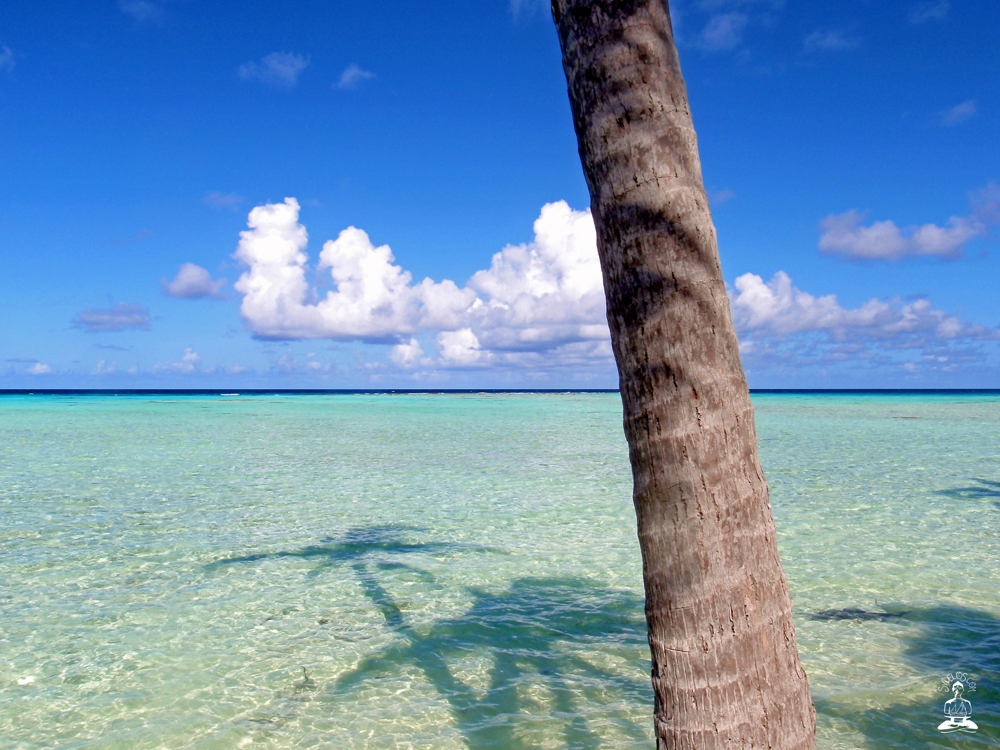 free tropical island desktop backgrounds