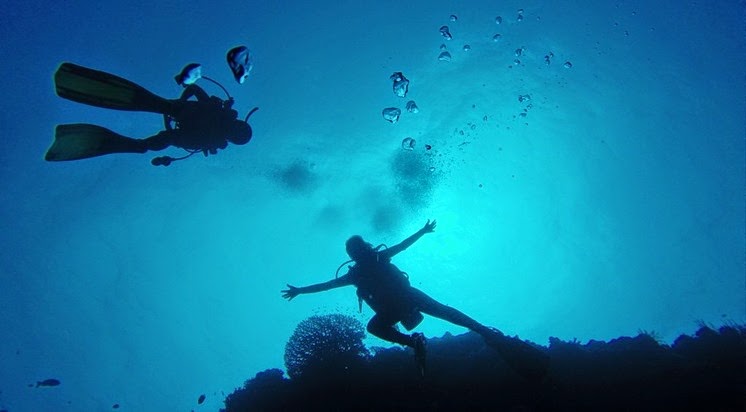 diving scuba tubbataha reef