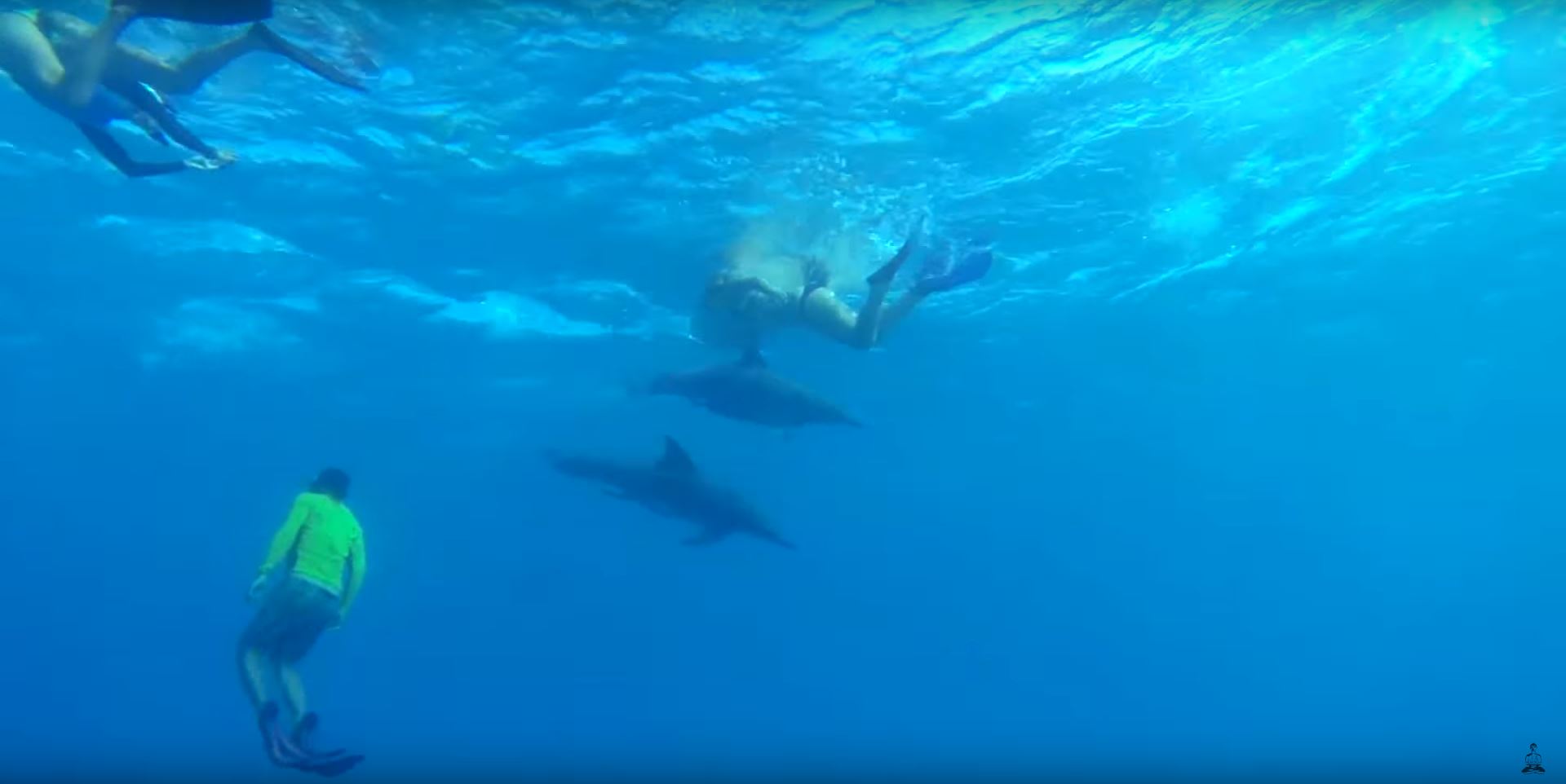 snorkeling with dolphins in cocos keeling