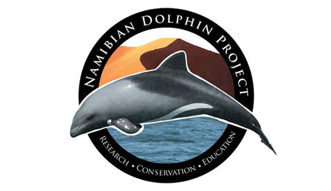 namibian dolphin project