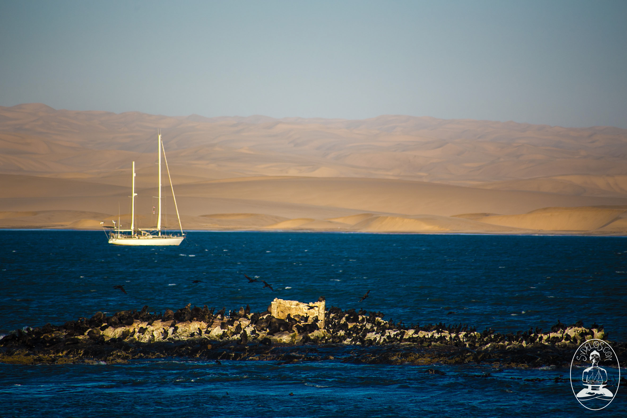 sailing in the desert desktop background